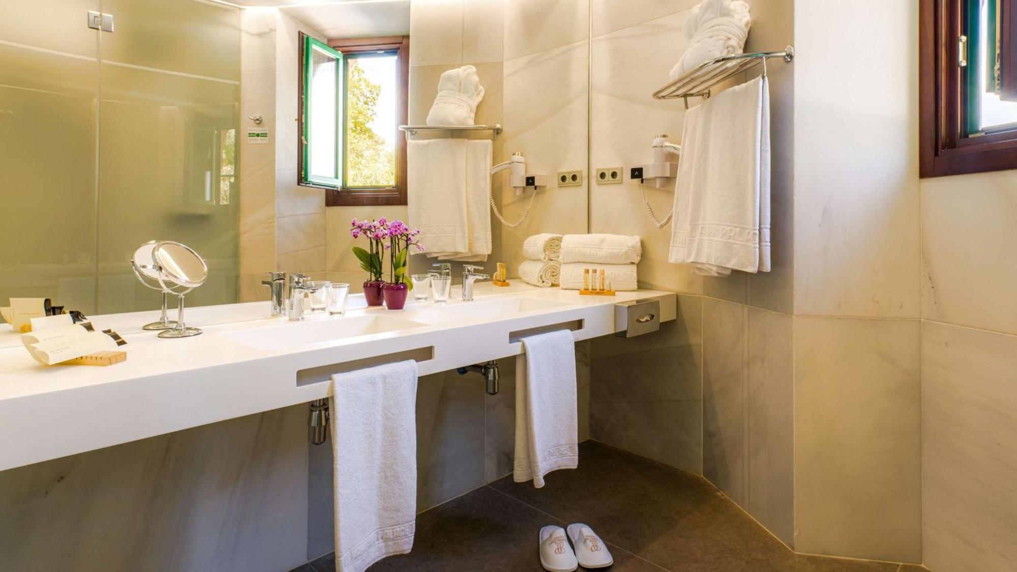 Deluxe Zweibettzimmer mit ebenerdiger Dusche – Nichtraucher